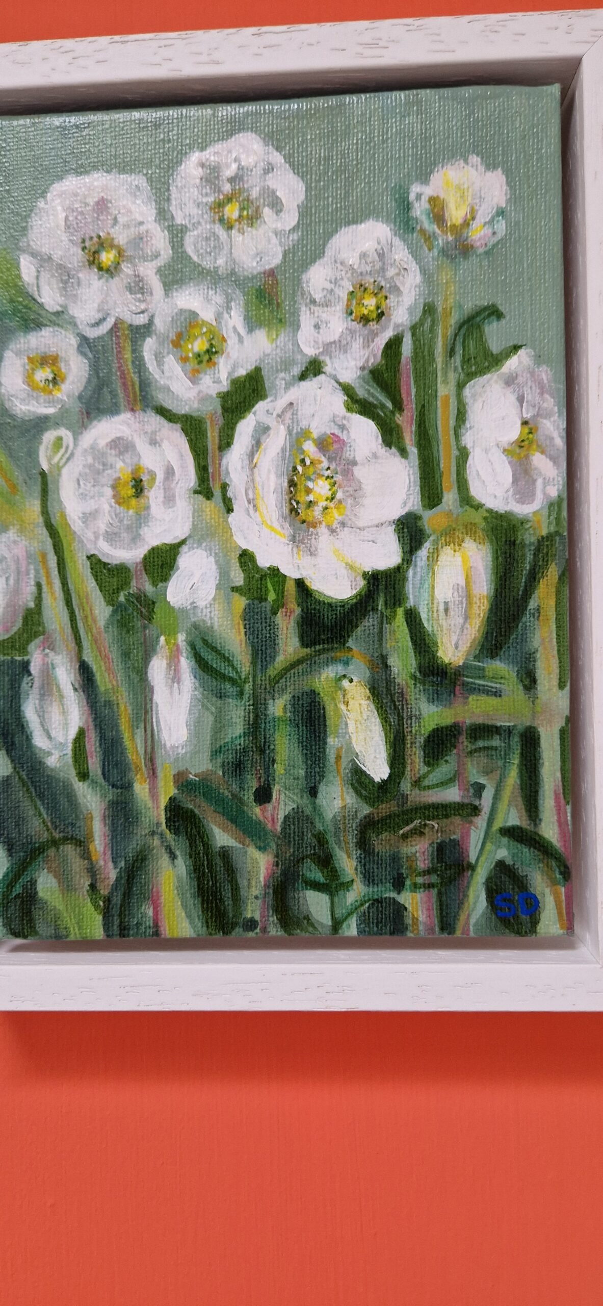 Hellebores - Image 2